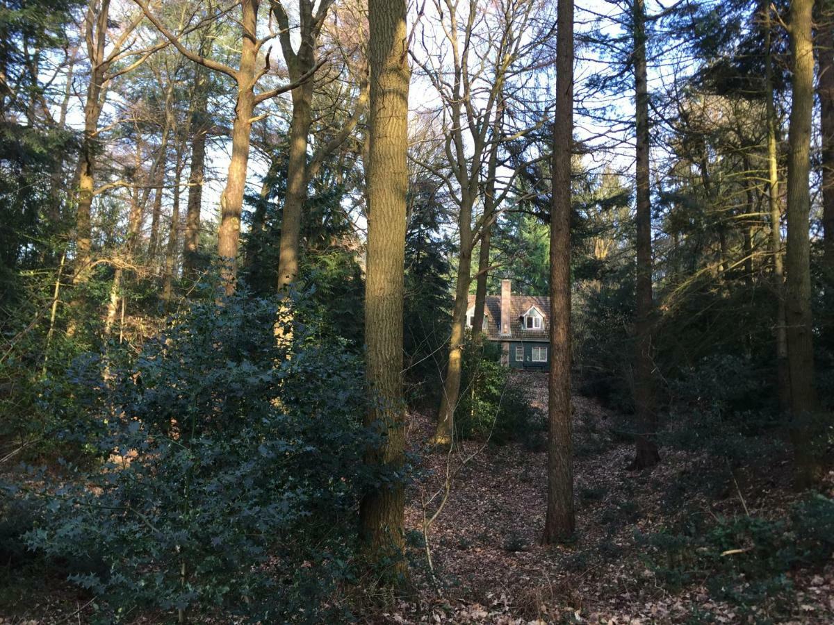 Landgoed De Heezeberg Diever Exterior foto